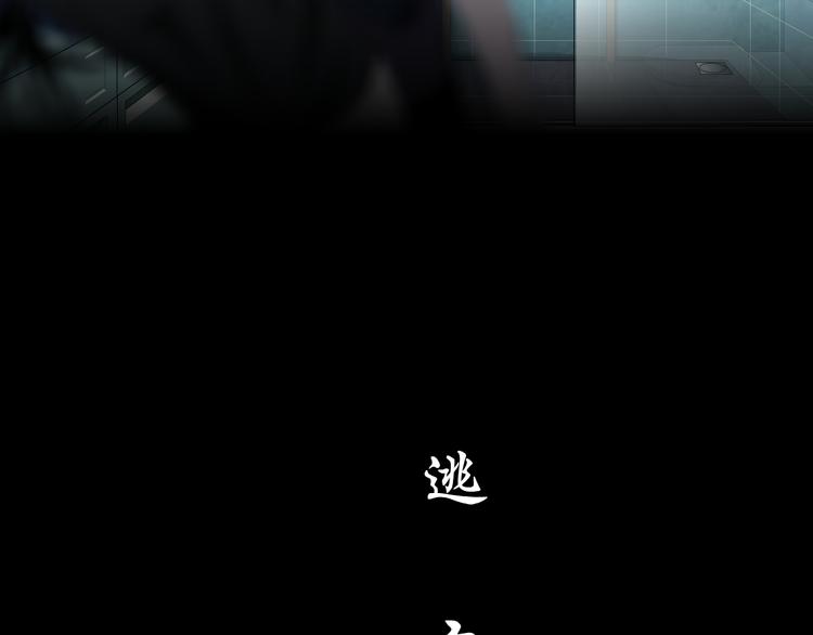 第132集 追逃26