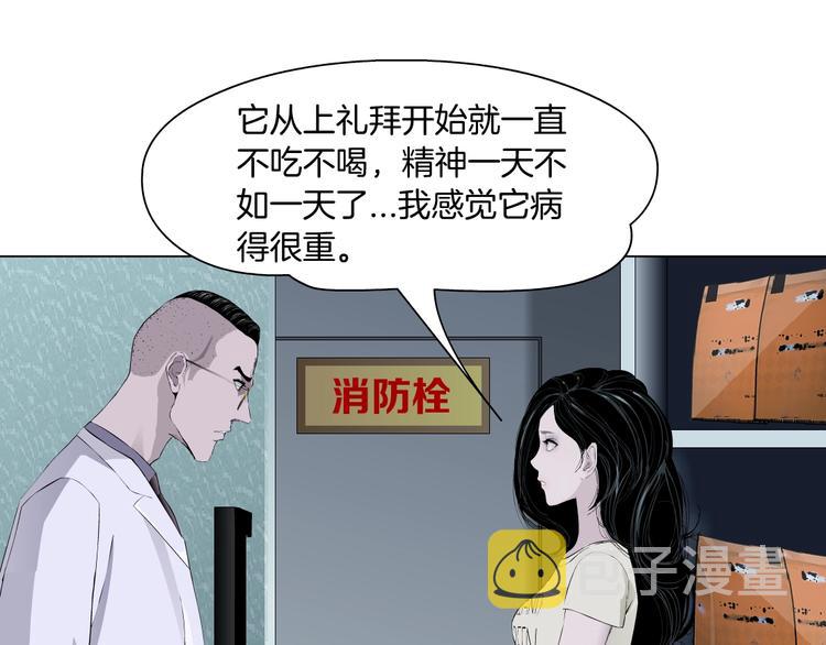 第50话 密谋13