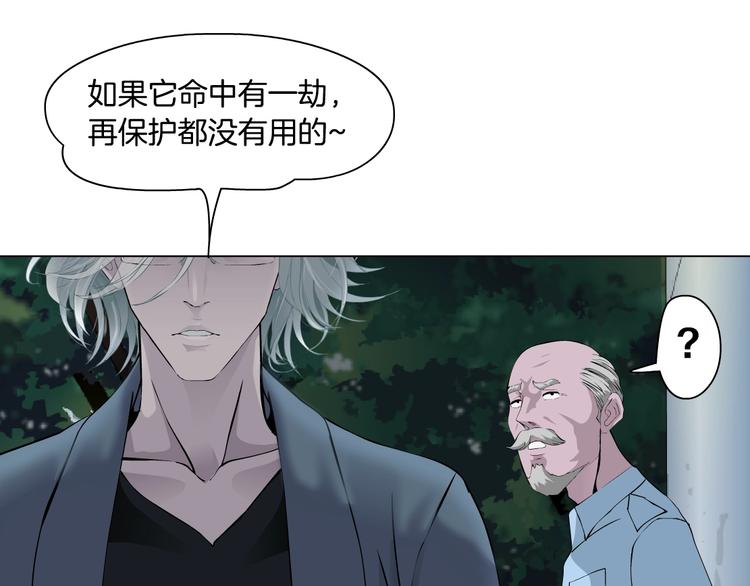 第103话 移花接木117