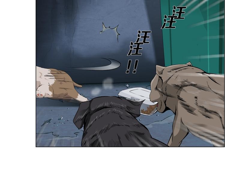 第13话 小家伙11