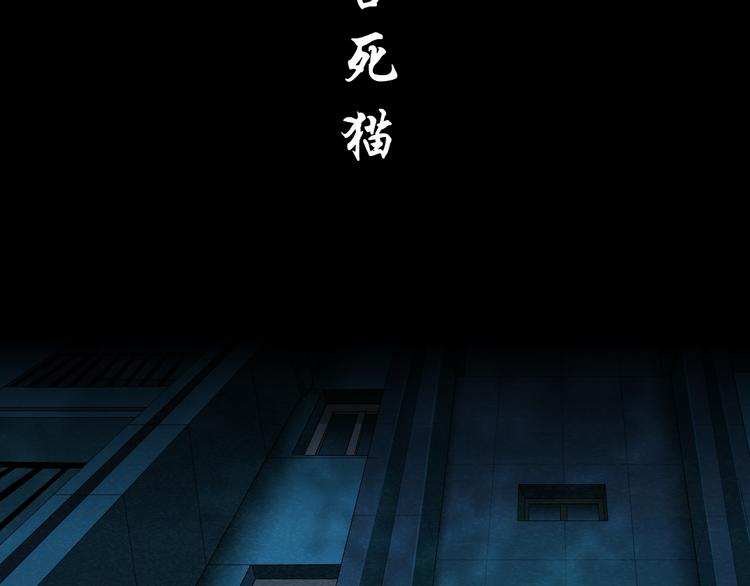 第115话 好奇害死猫15