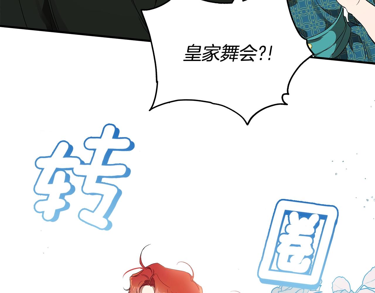 第47话 玫瑰108