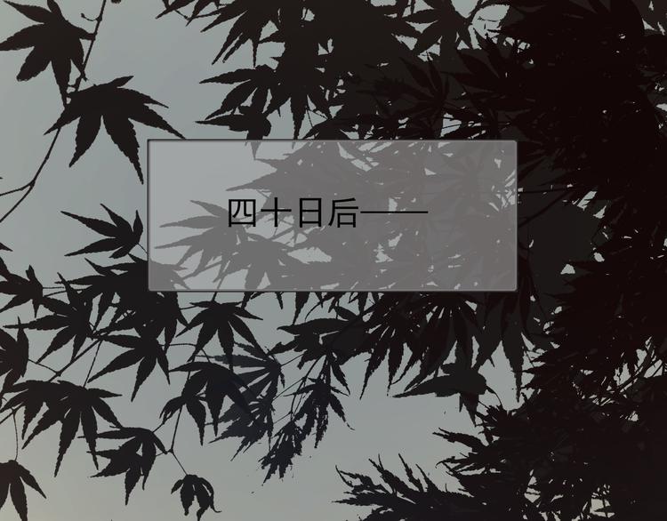 第41话 重归0