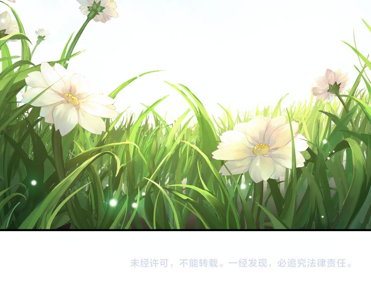 完结篇 尘埃落定114