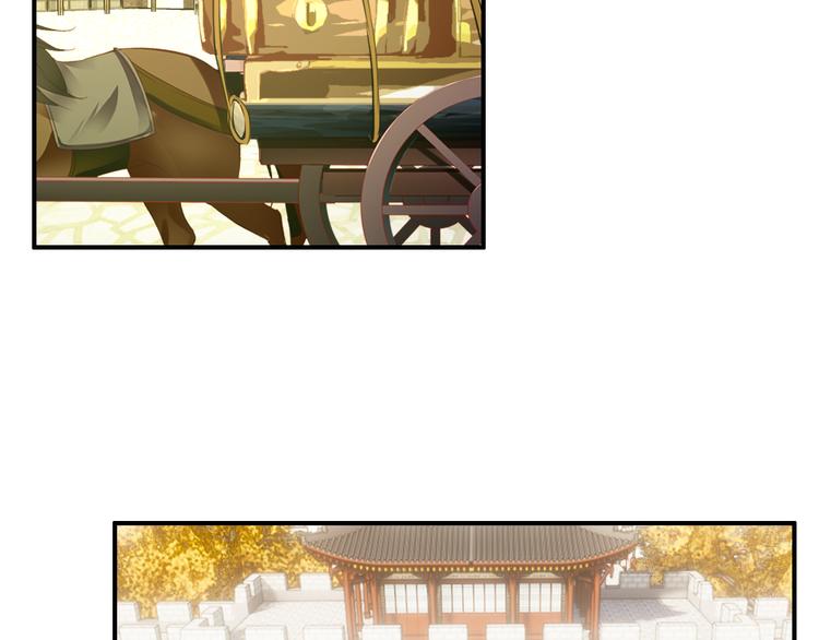 完结篇 尘埃落定12