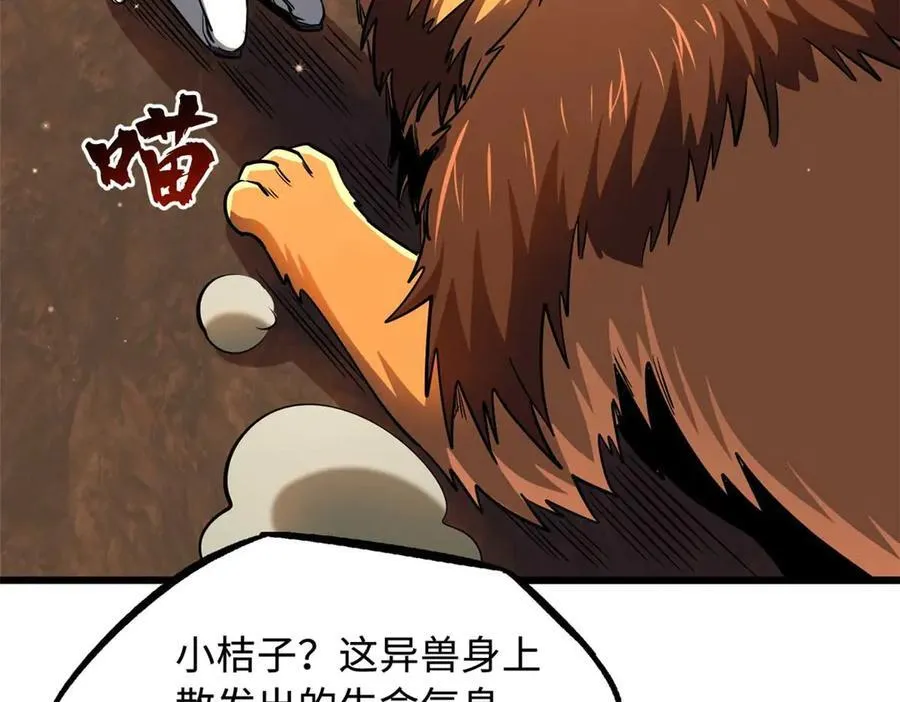 272 小桔子63