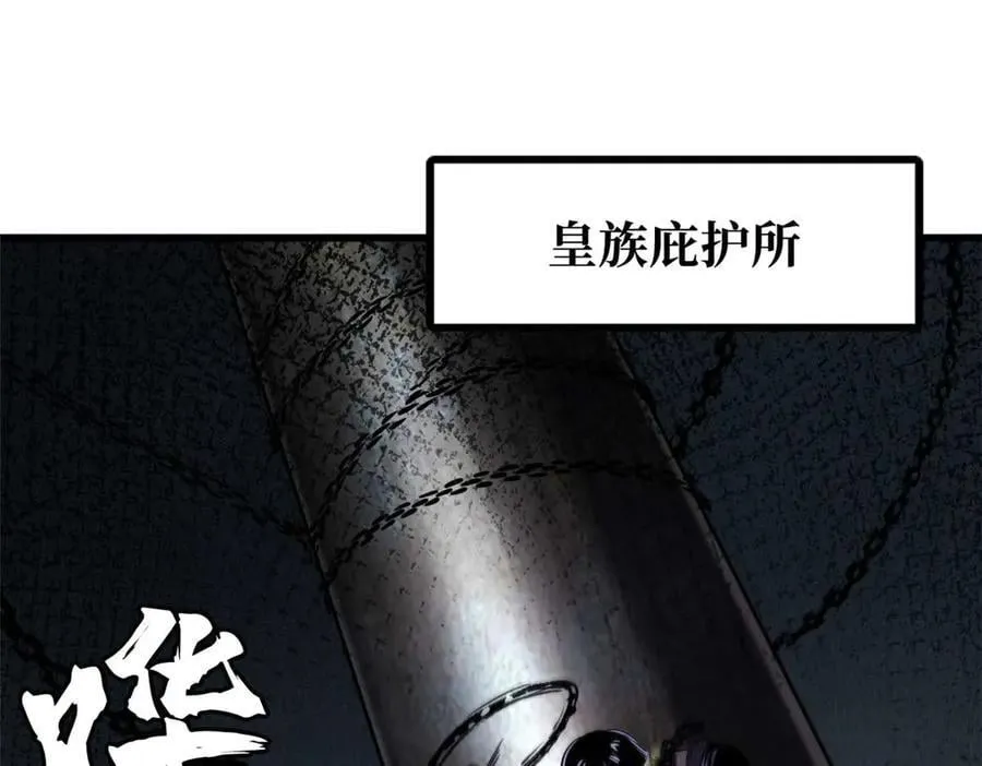 272 小桔子2