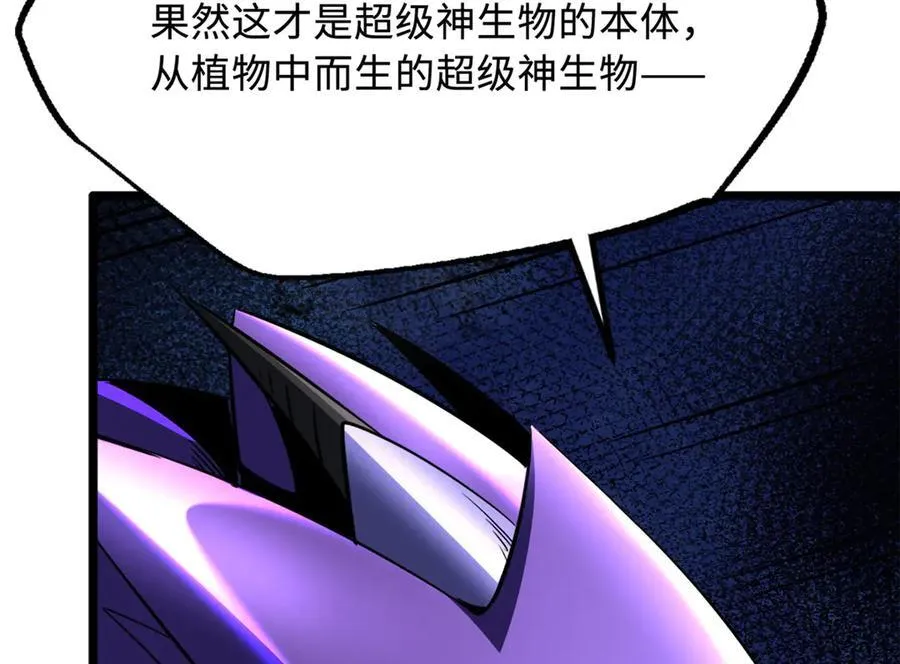 277 隐藏的本体175