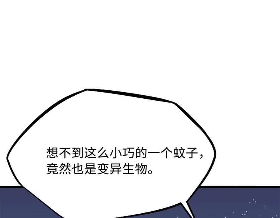 286 吸血角蚊34
