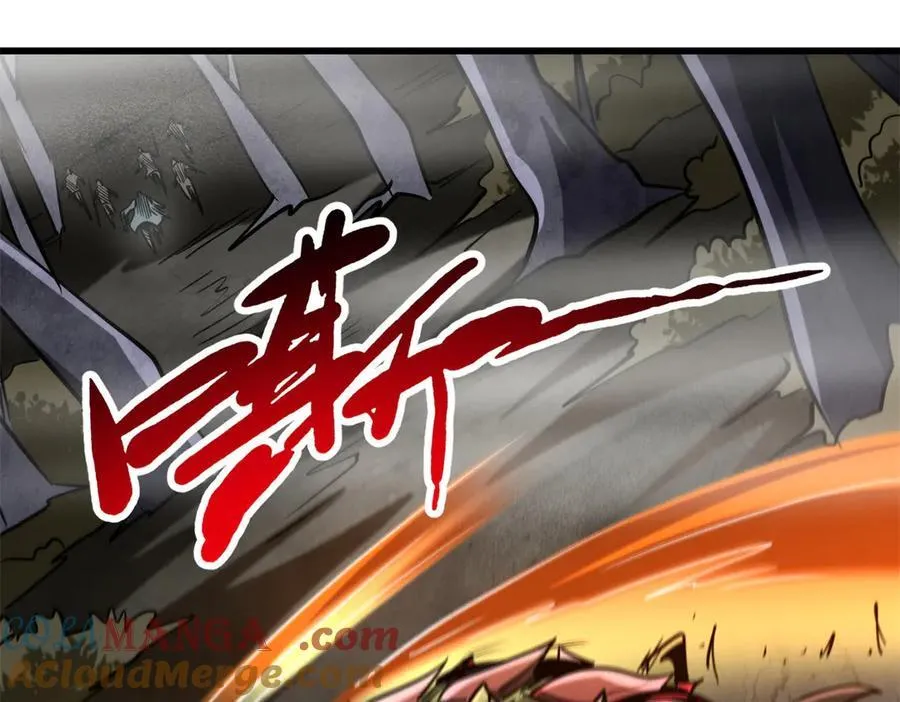 262 血蜈蚣148