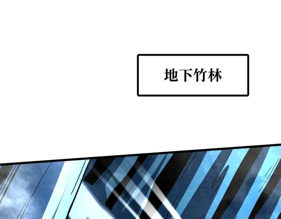 284 启程！50