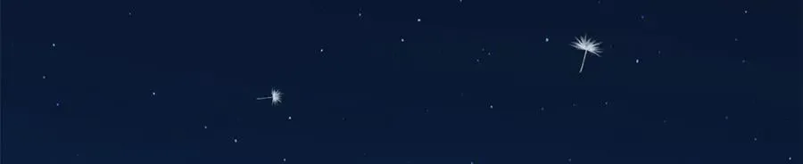 286 吸血角蚊10