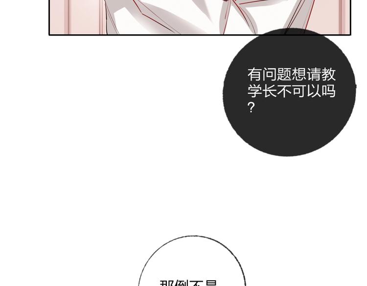 第26话 斗兽64