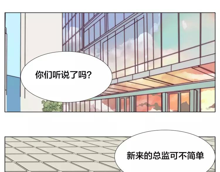 第28话 新任女总监！4