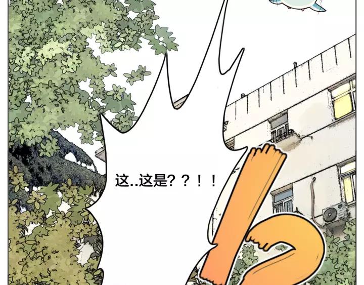 番外 新成员63