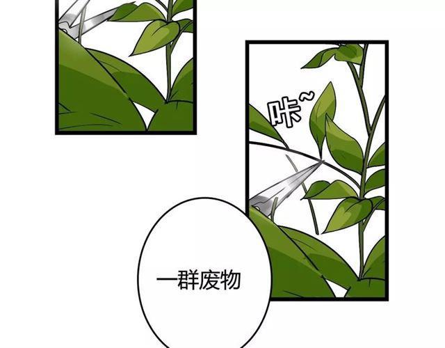 序章 整容游戏APP升级！？5