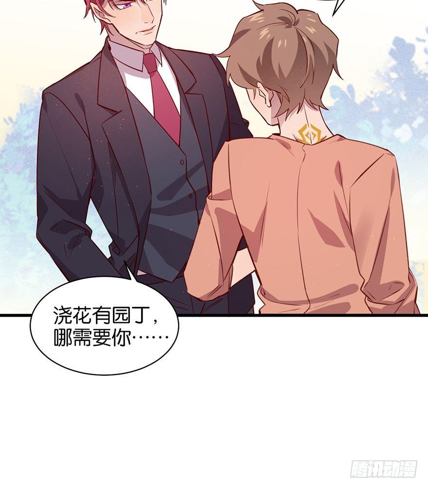 吾栖之肤67