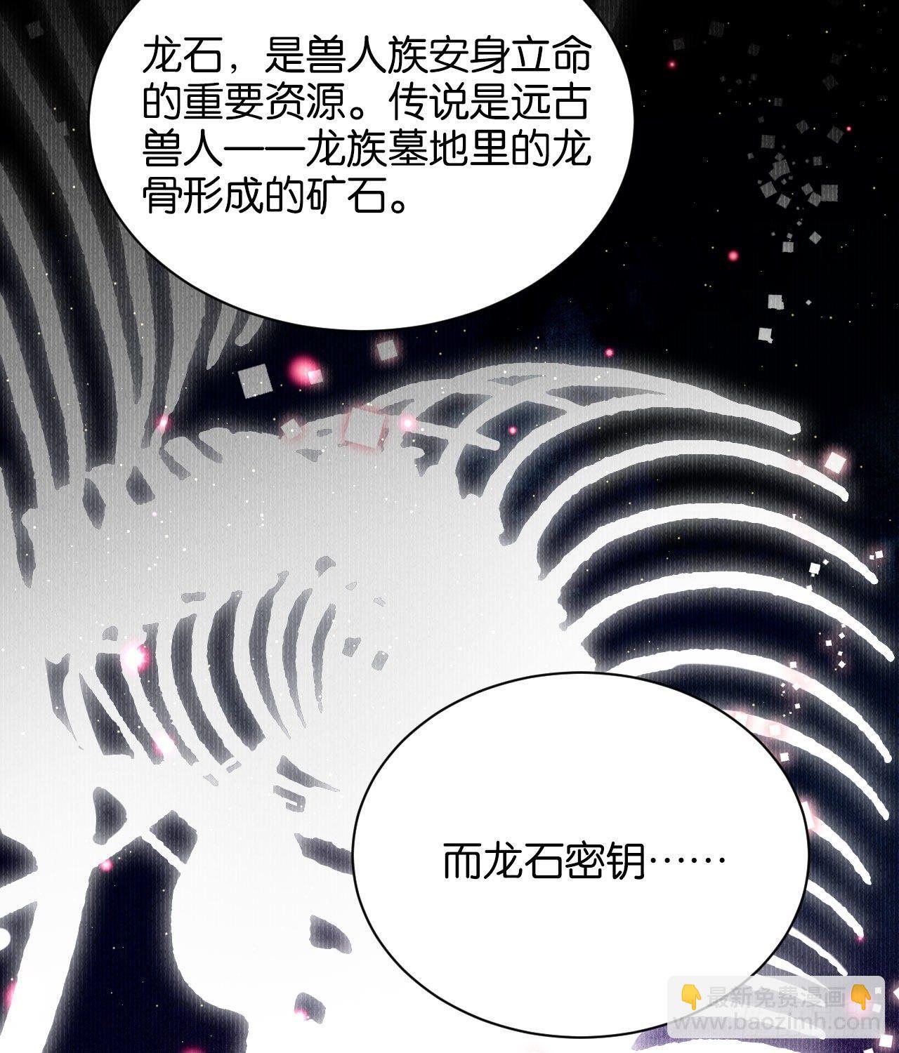 龙石密钥15