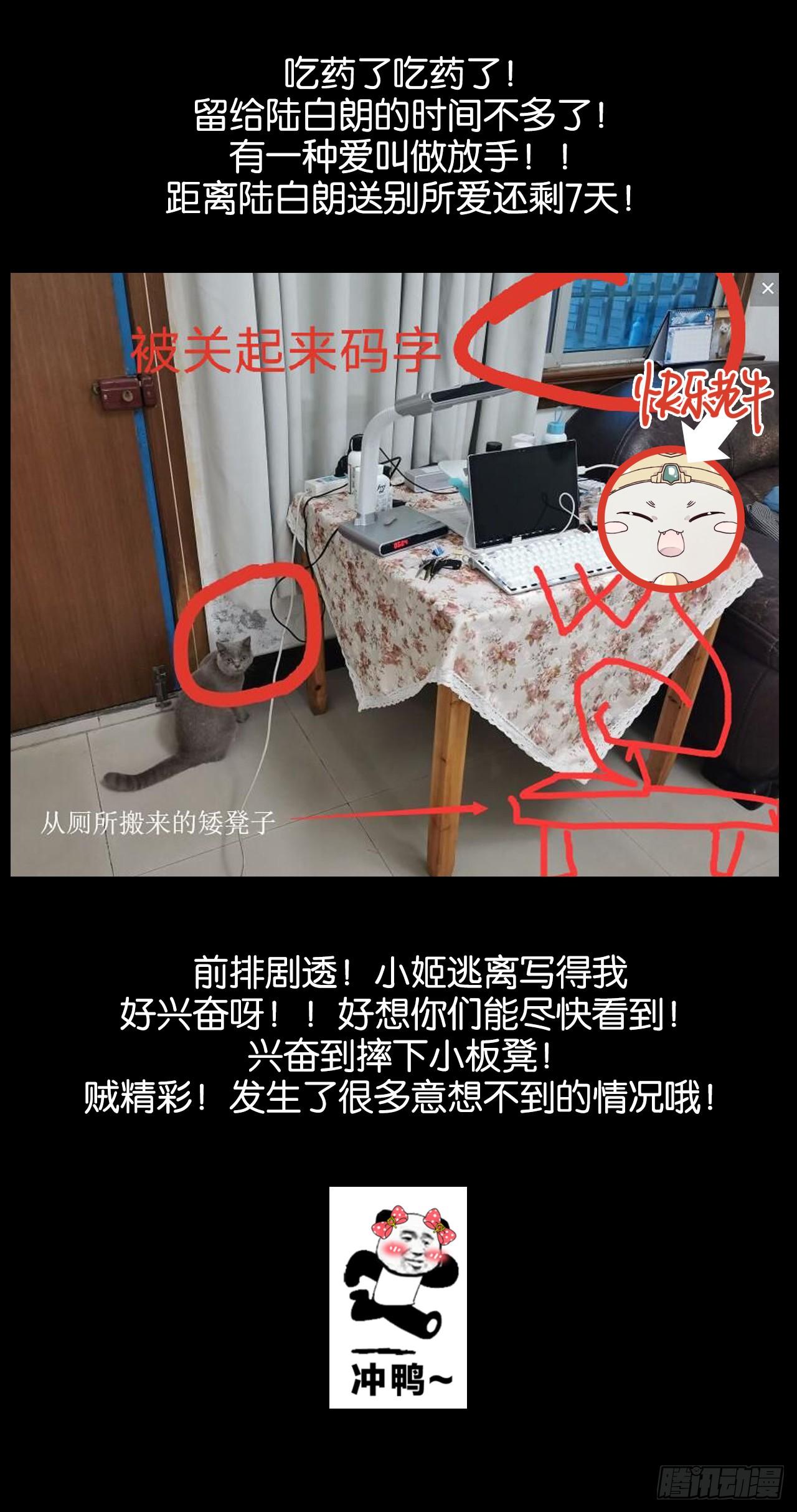 最后信你一次55