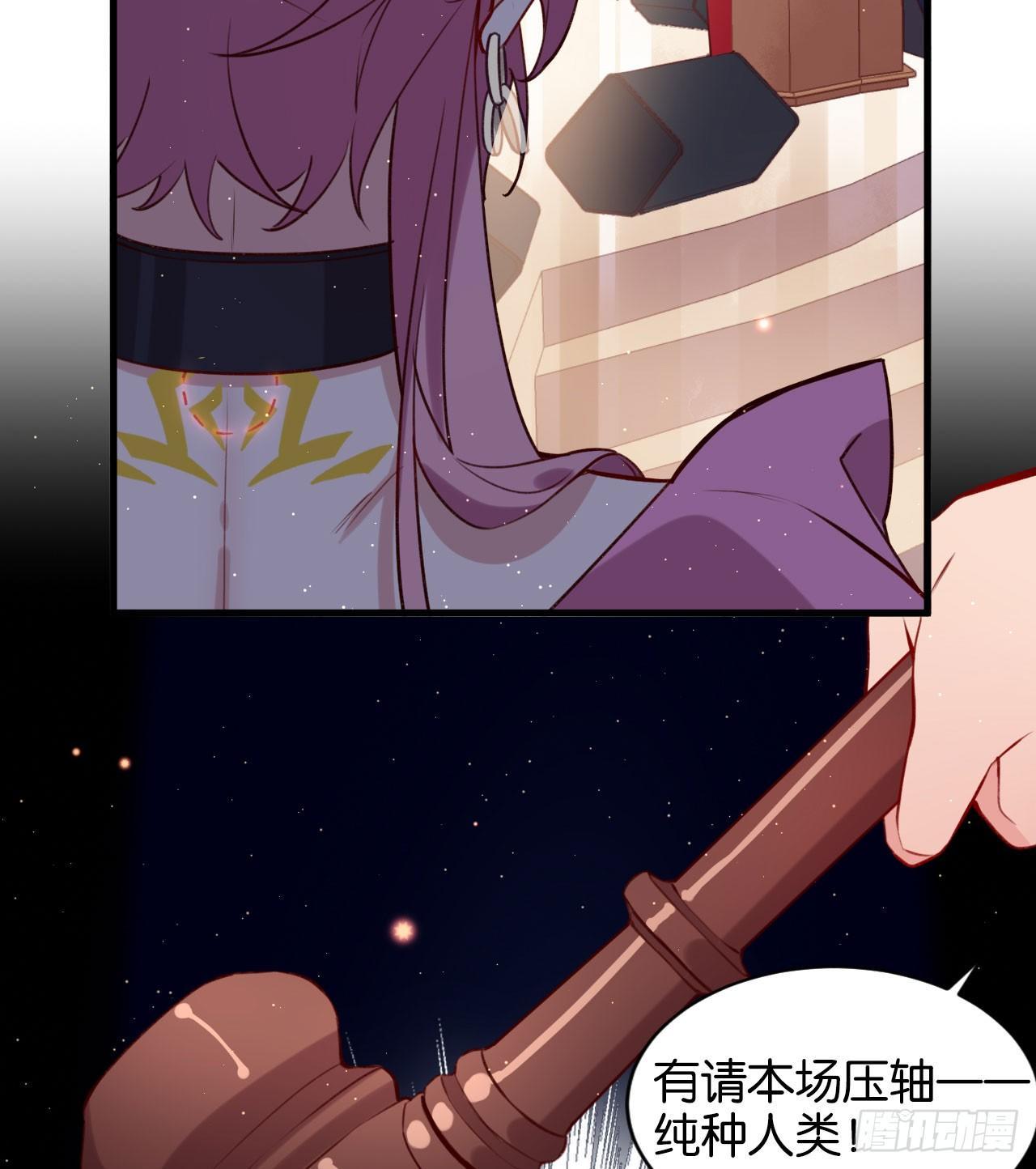 真正的天命12