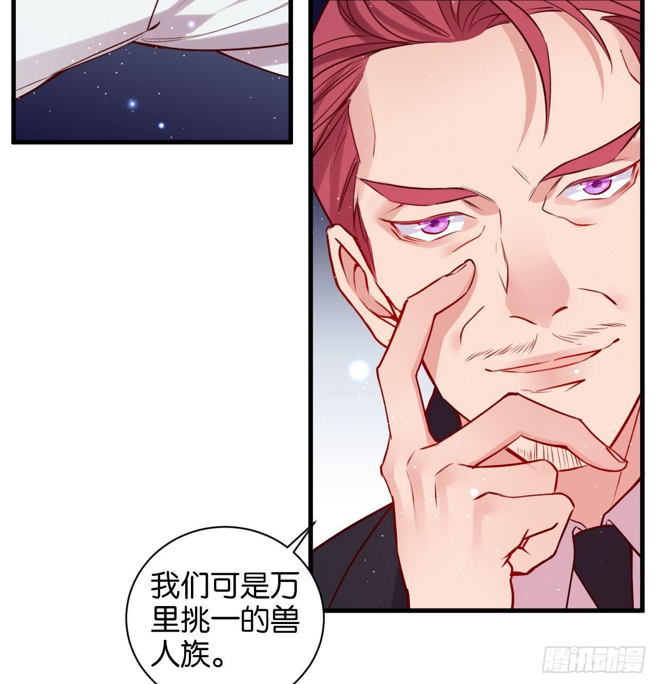 继承者的条件11