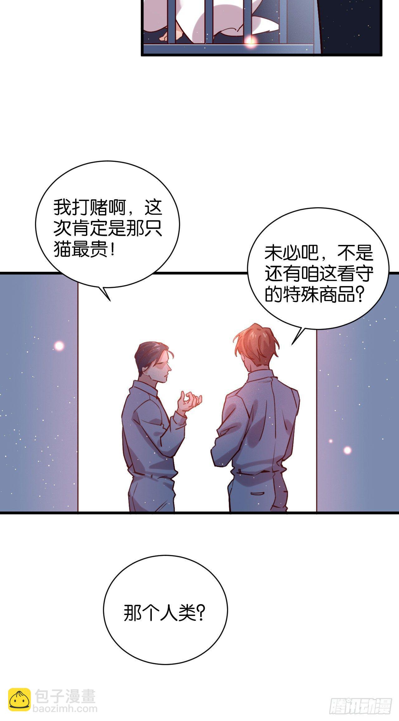 火焰里的细语14