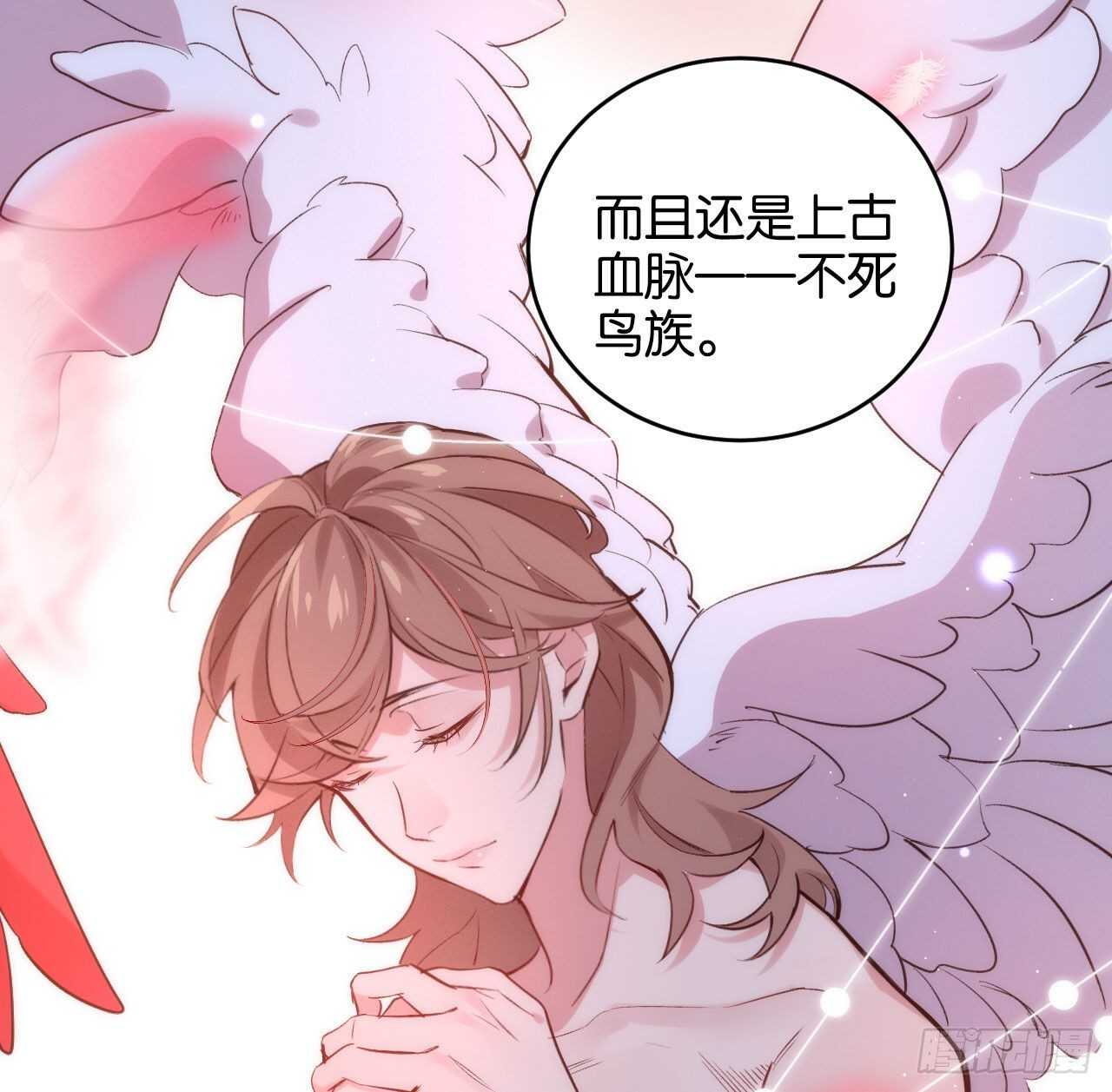 大鱼上钩31