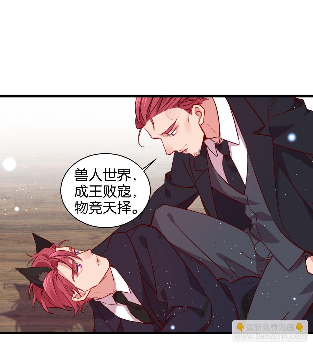 继承者的条件49