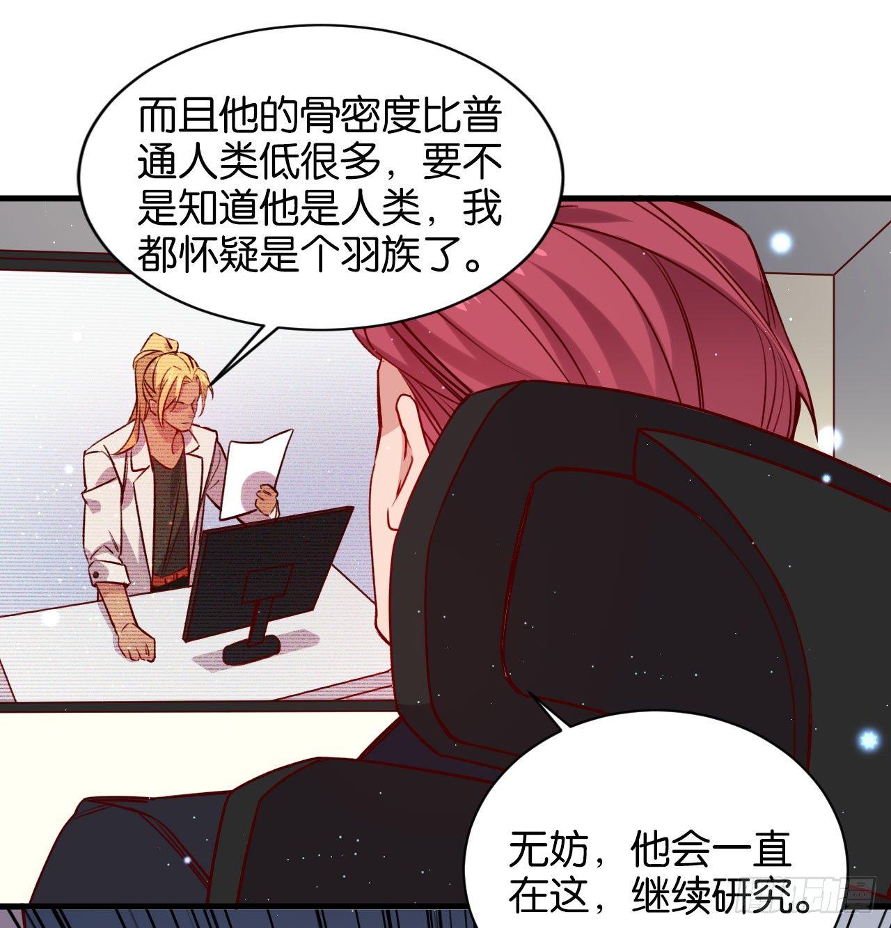 继承者的条件34
