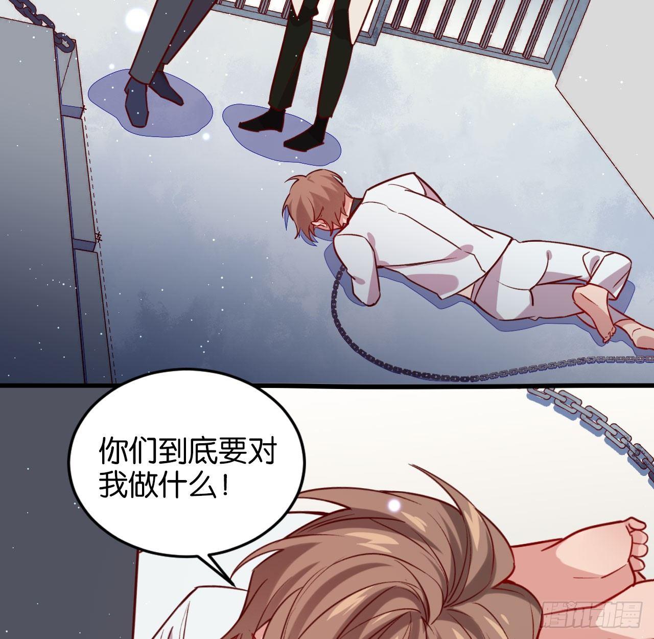 他们的世界41