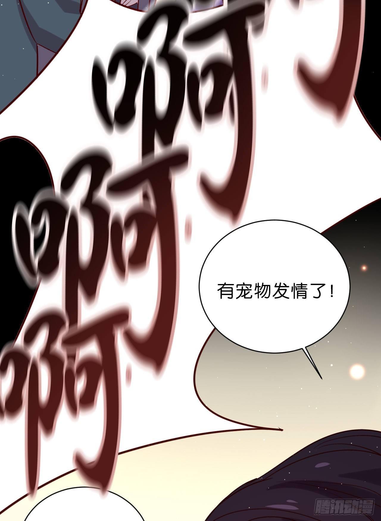 再见陆白朗25