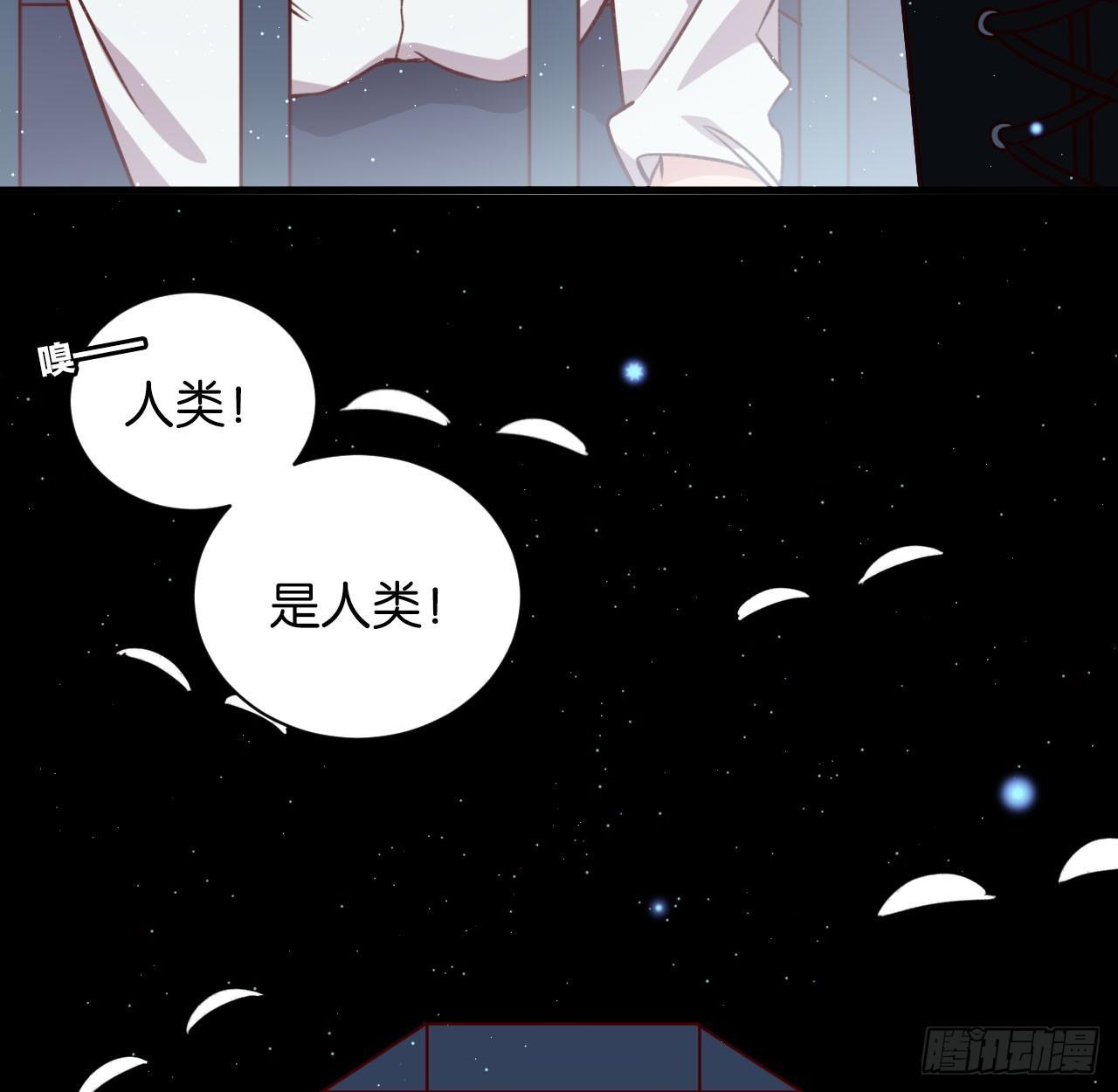 困兽之囚23
