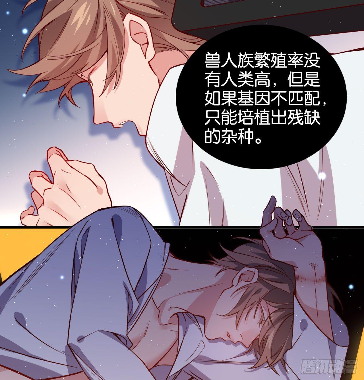 继承者的条件28