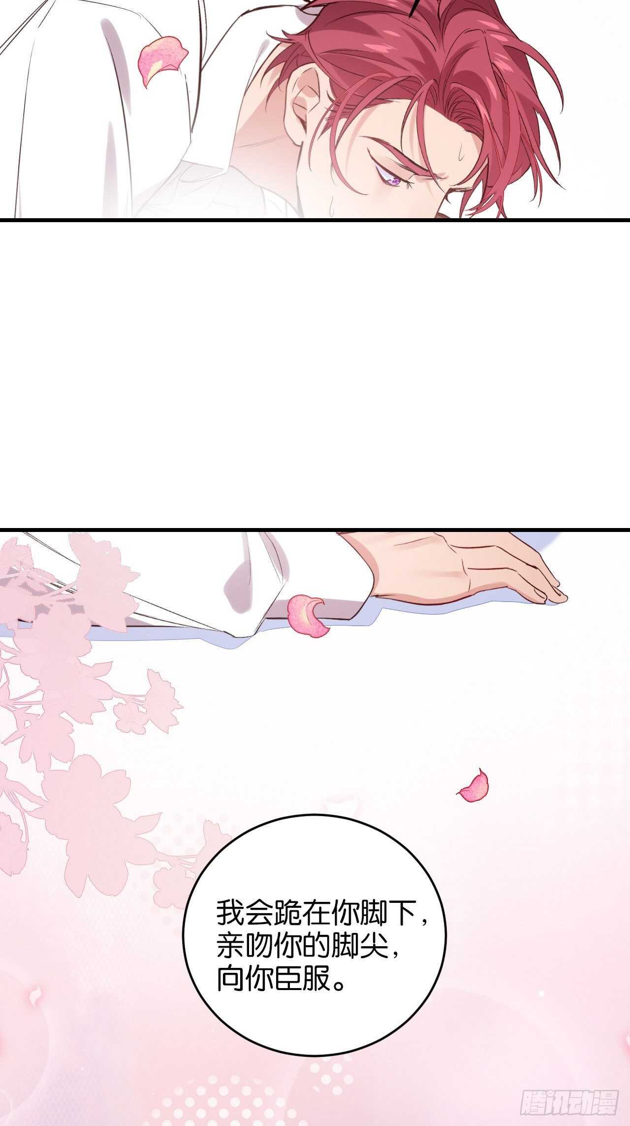 让我替你承受24