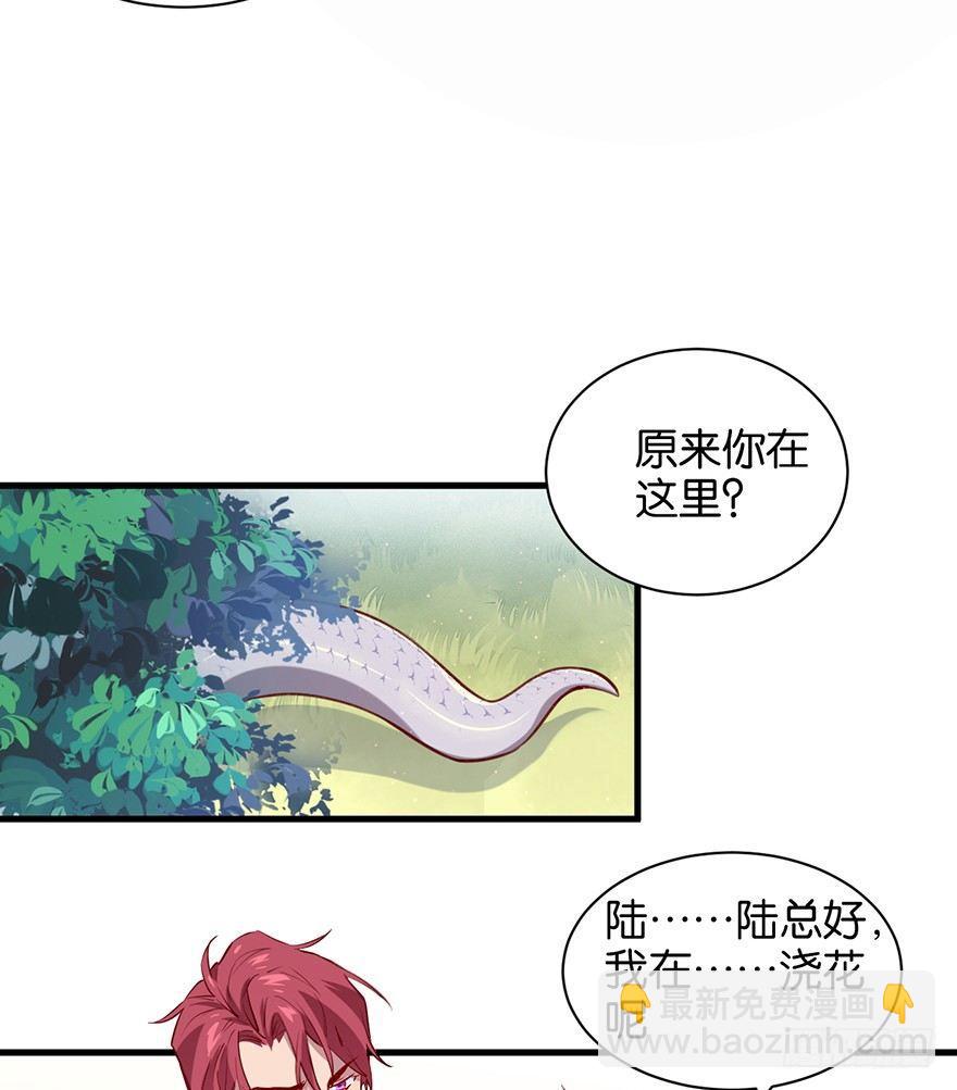 吾栖之肤66