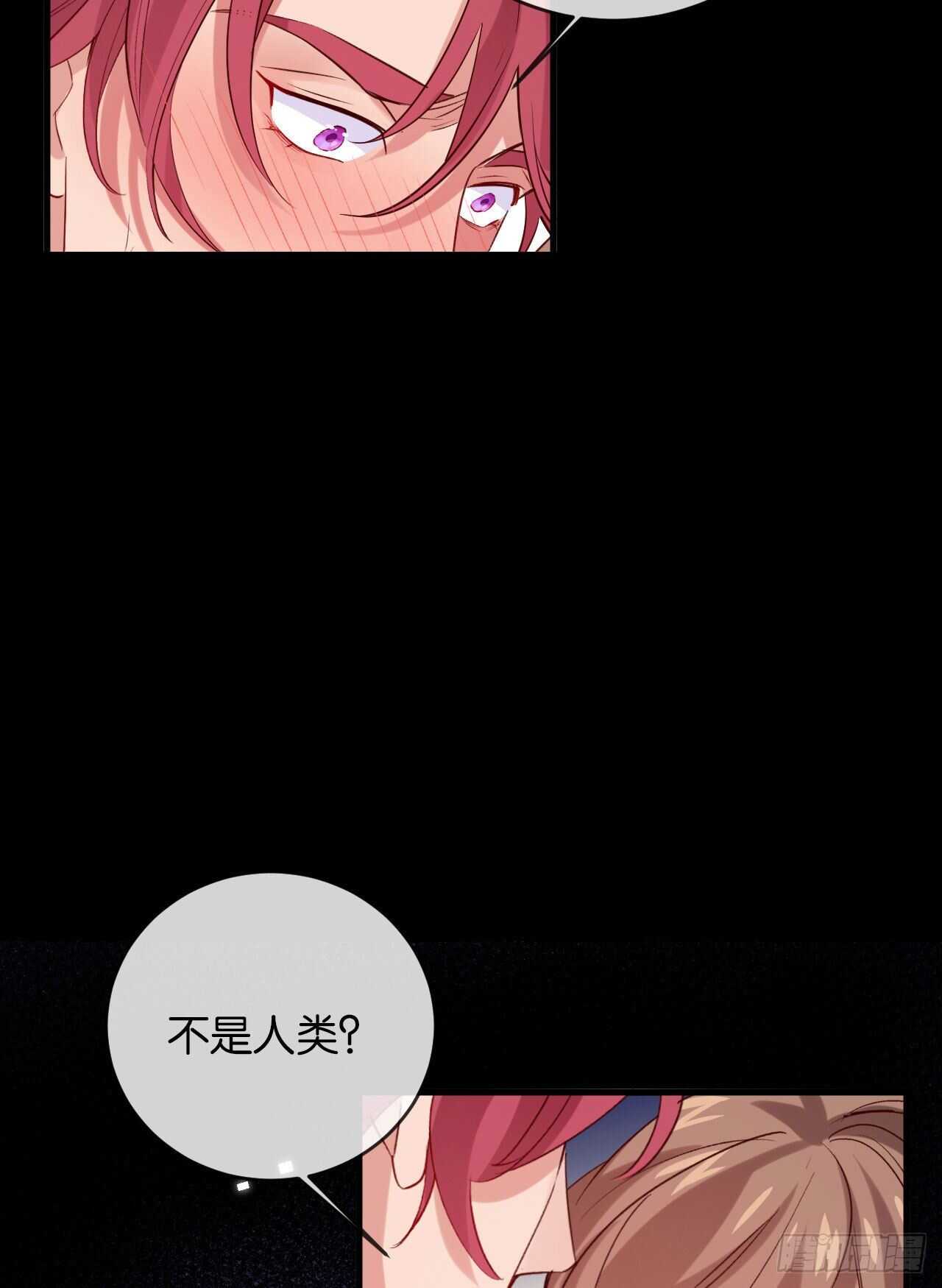 为了你，我心甘情愿37