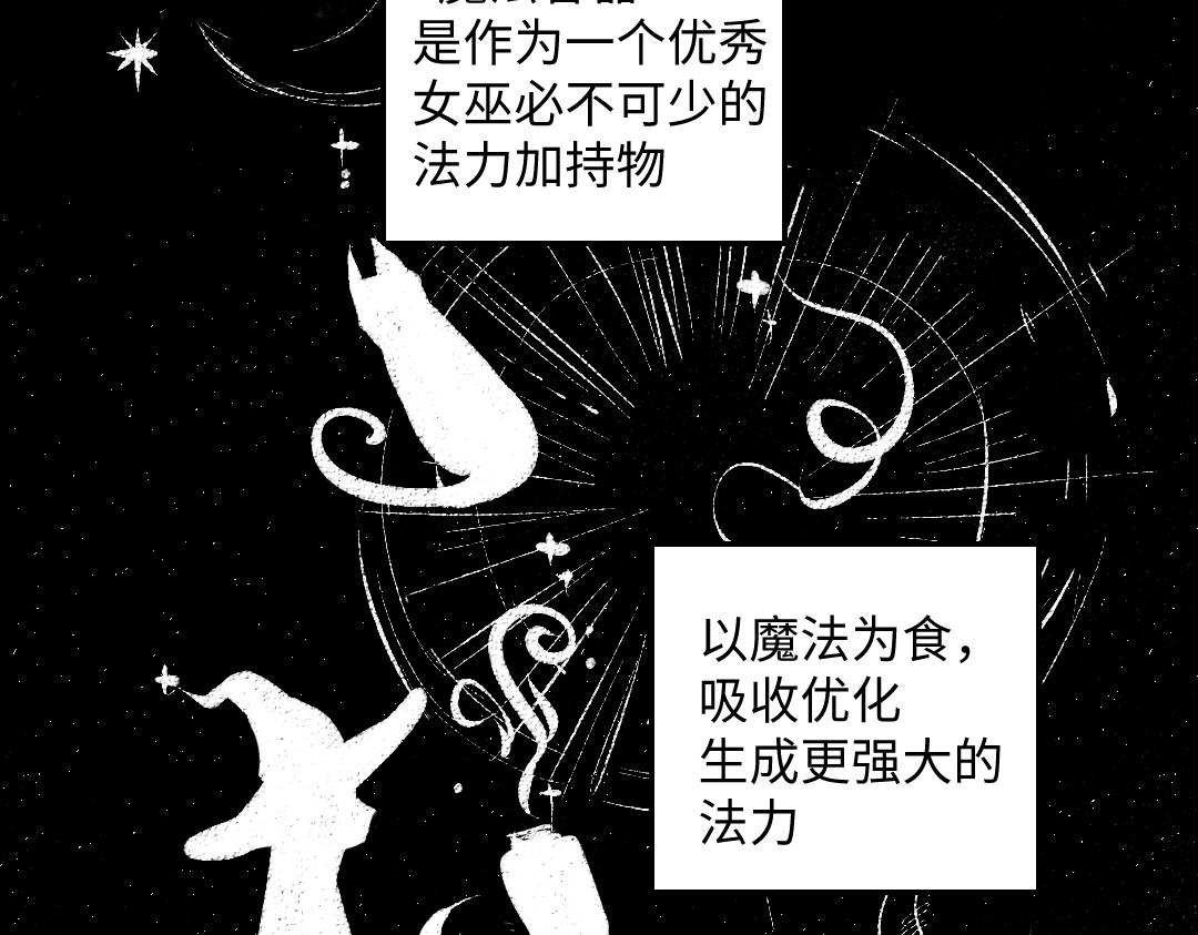 黑白番外 最佳搭档5