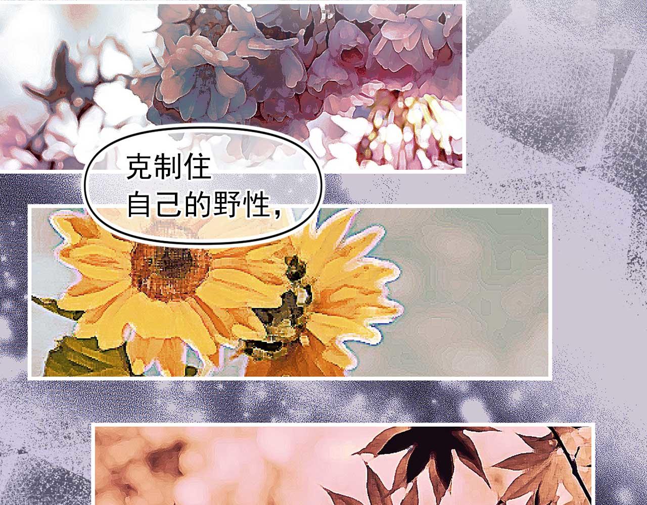 第75话 最爱你的人52