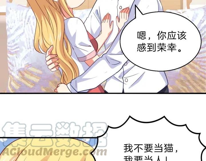 第52话 你是我的宠物猫33