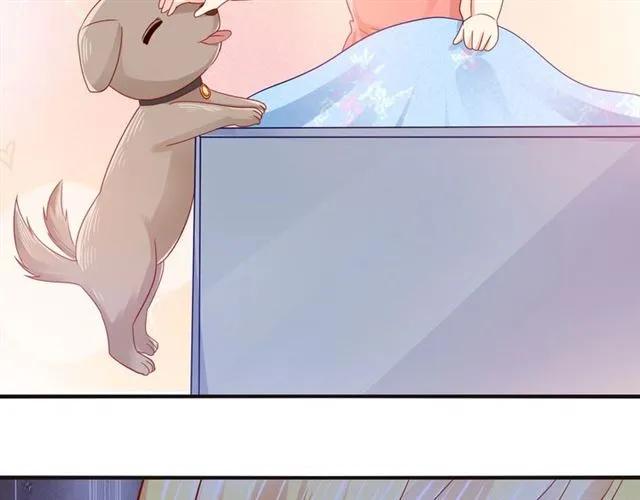 第69话  总裁的男友力59