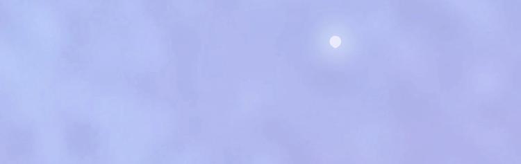 第66话 神秘金发男子46