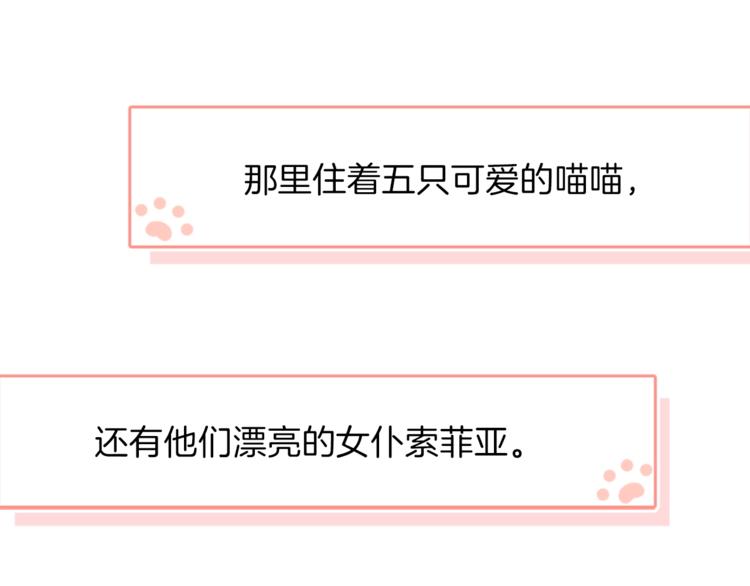 番外 喵仆驾到4