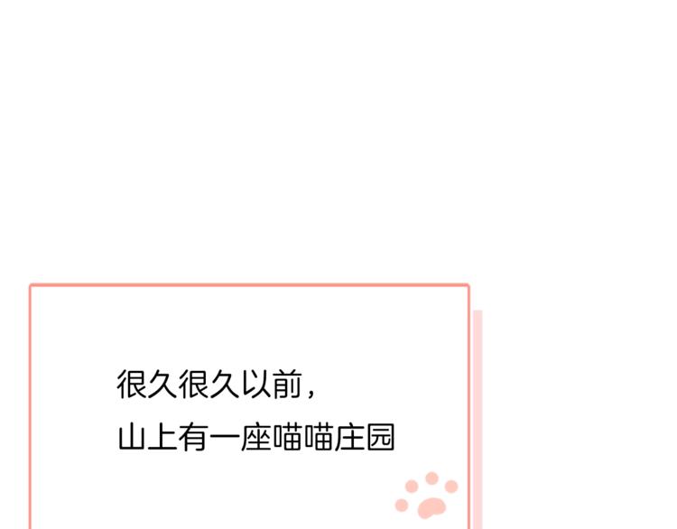 番外 喵仆驾到2