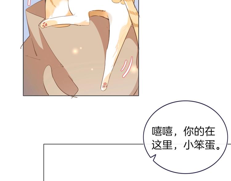 番外 喵仆驾到33