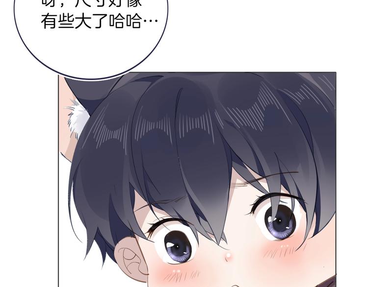 番外 喵仆驾到43