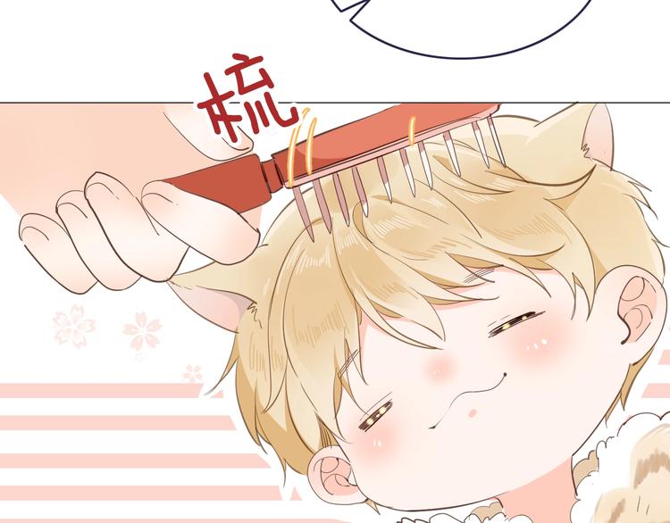 番外 喵仆驾到25