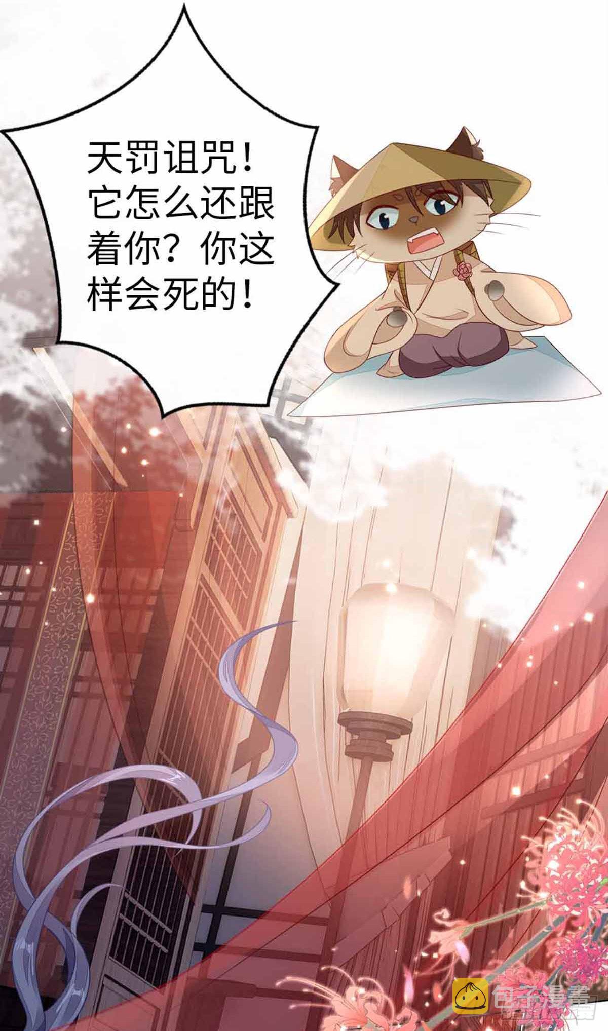 第132话 死亡开局26