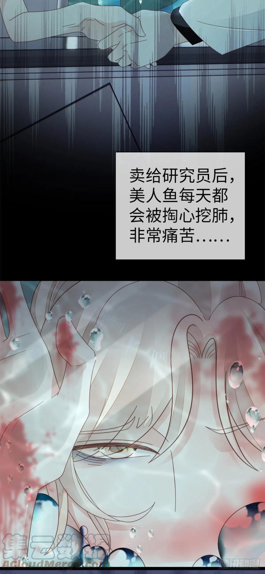 第74话 前世今生33