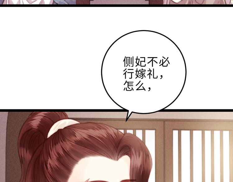 第132话 侧妃54