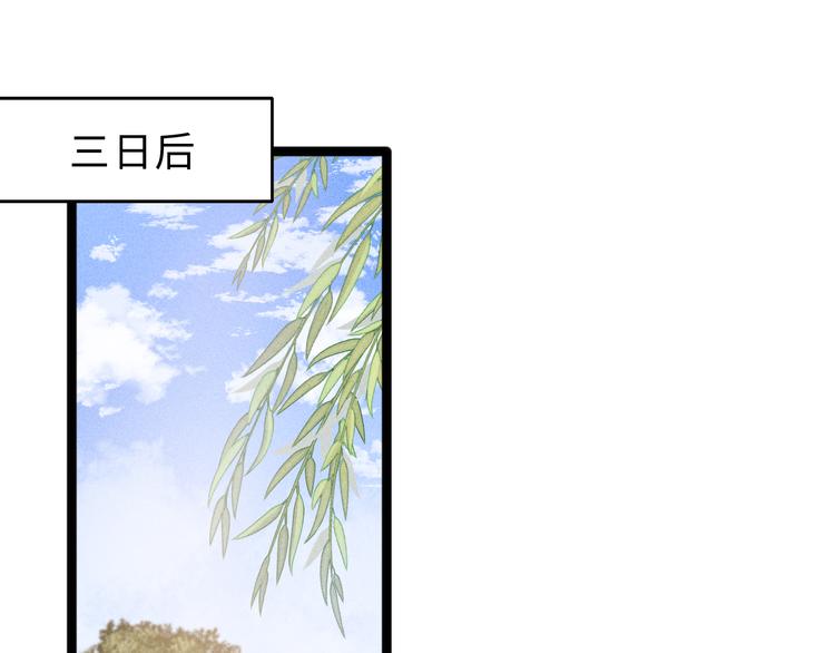 第132话 侧妃4